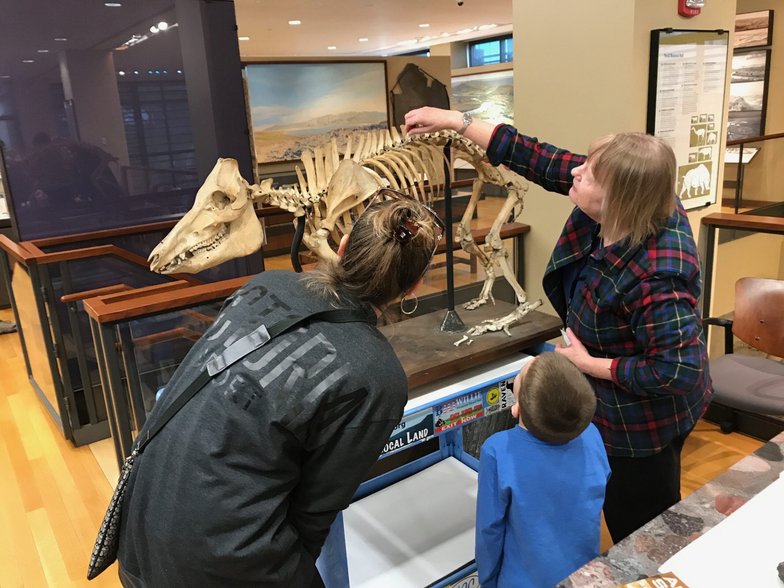 beneski looking at fossil for identify it day