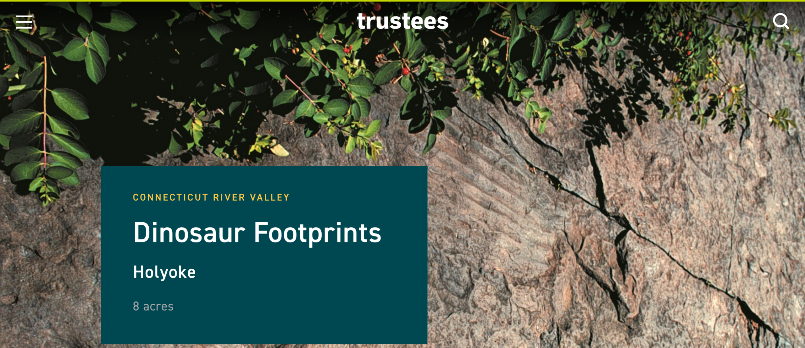 dino footprints holyoke